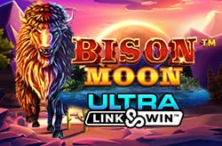 link gokkasten bij Casino777.nl: Link & Win Bison Moon